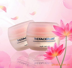 家居日用品 生活品質的無聲守護者