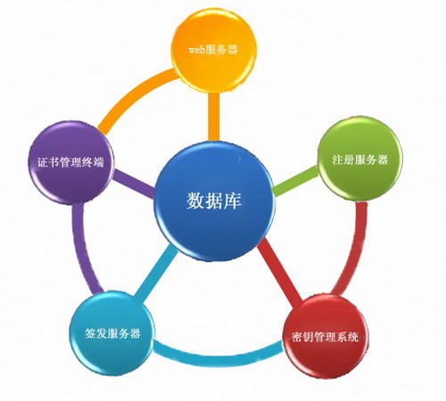 SRT1102身份認證系統(tǒng) 構(gòu)建企業(yè)安全管理的堅固基石